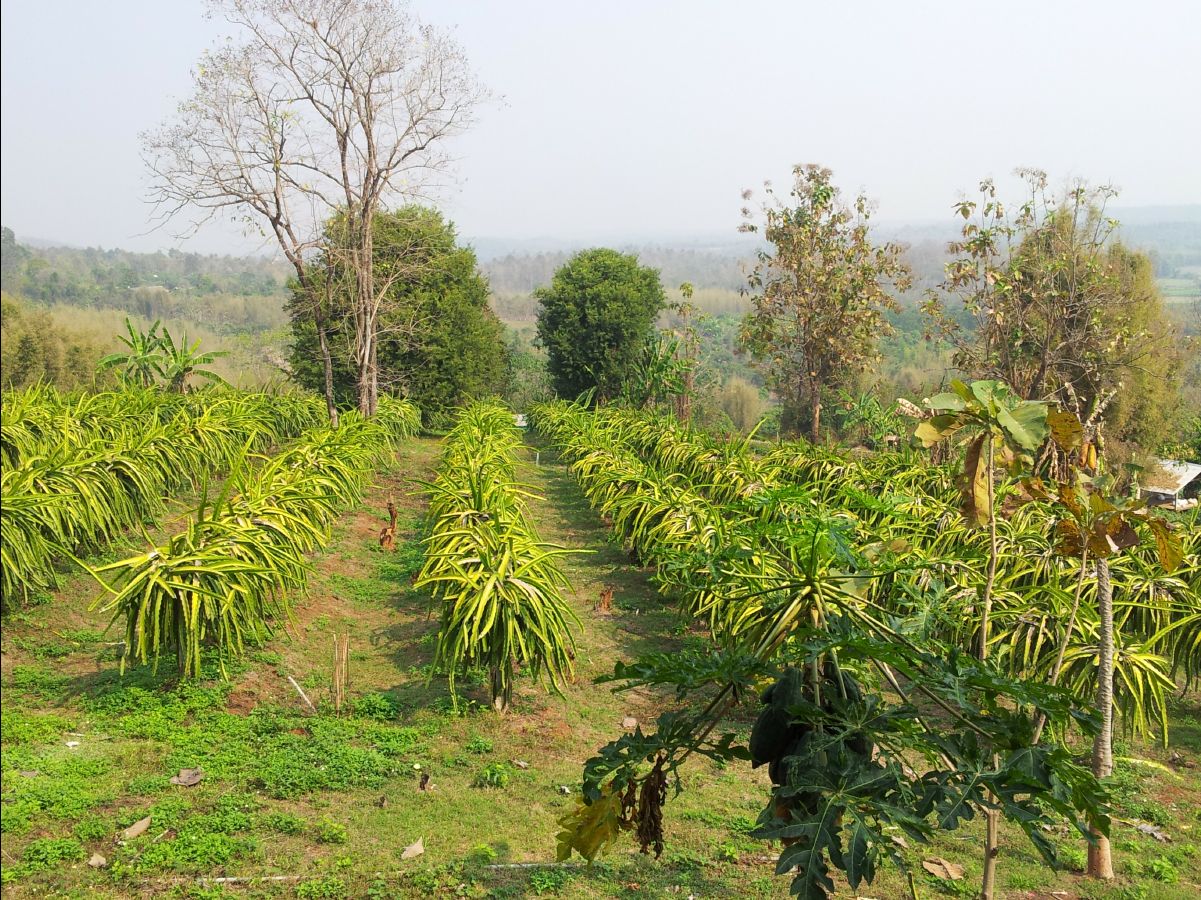 201302 Chiang Mai41